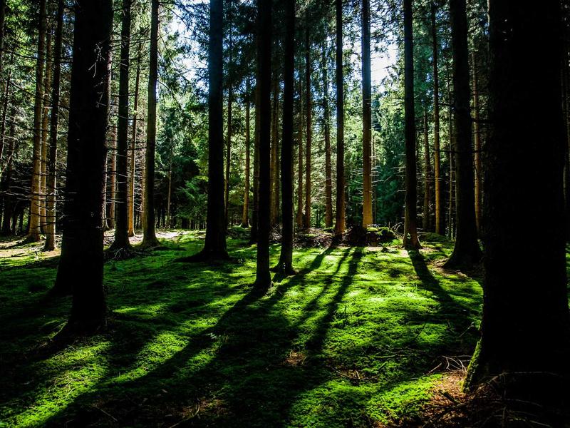 神经浪游者<br>lyv4augd.cn 脑机接口体验